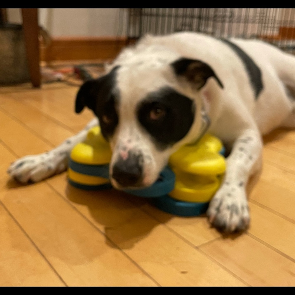 Meet your Posher, Becky